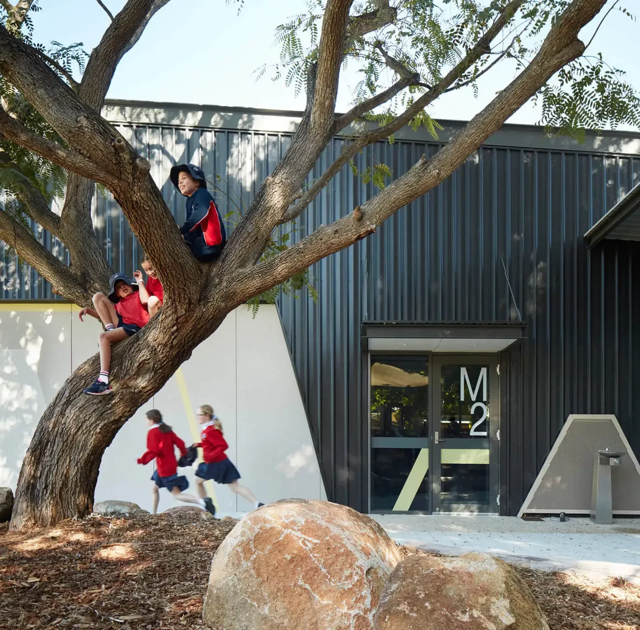 Children playing on a tree outside St Stephens Primary